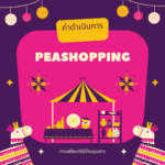 ค่าบริการแอปพลิเคชั่น PEASHOPPING Platform วิสาหกิจชุมชนบ้านหาดไก่ต้อย